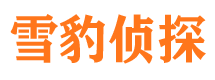 松山市侦探调查公司